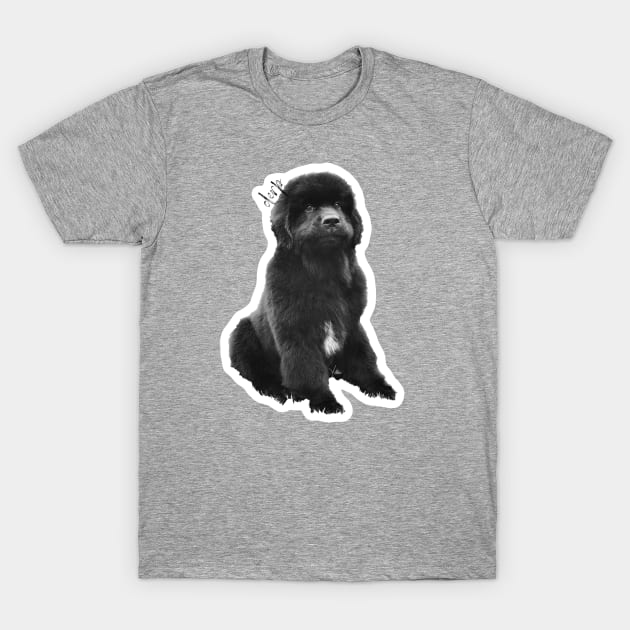 Duke The Newfie "Derp" T-Shirt by Molly The Newfie